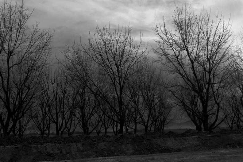 Outskirts of Old Mesilla 