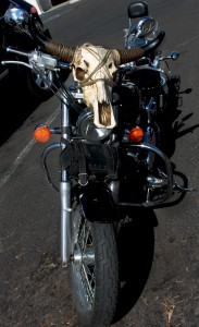 bike with bull horns tied to it