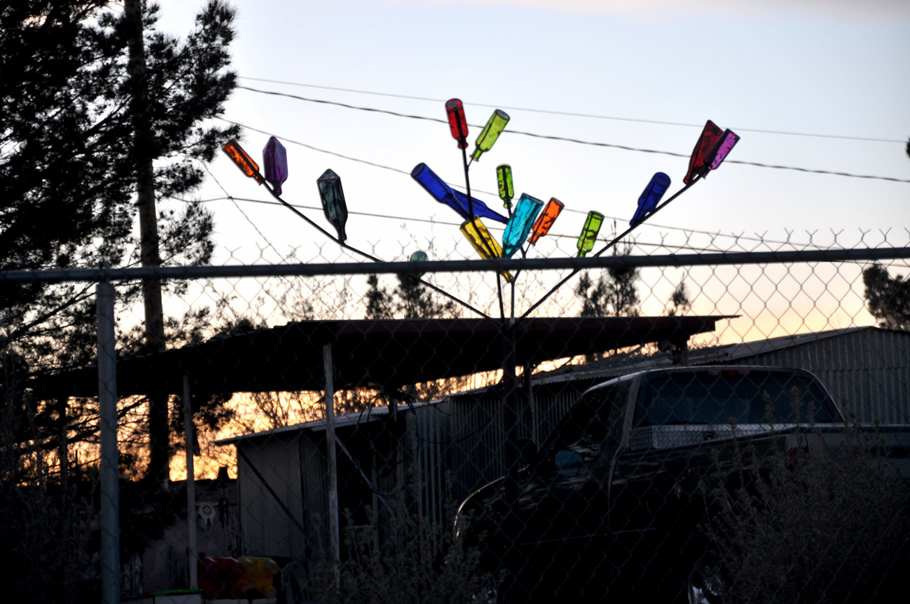 Glass bottle tree.