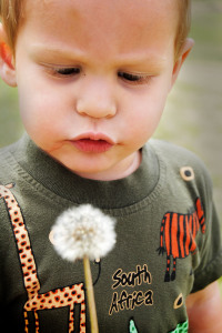 Some of us get intrigued by nature at an early age, and that is exactly what happened to 2 year-old Keyden on a visit to the park. He could not believe he's eyes when he saw dandelions's seeds flying away and dissolving in air every time he blew air towards them.