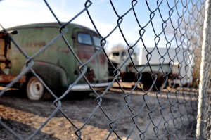 Rows and rows of old rusted cars in La Mesa. 