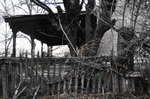 Abandoned House Fence WEB
