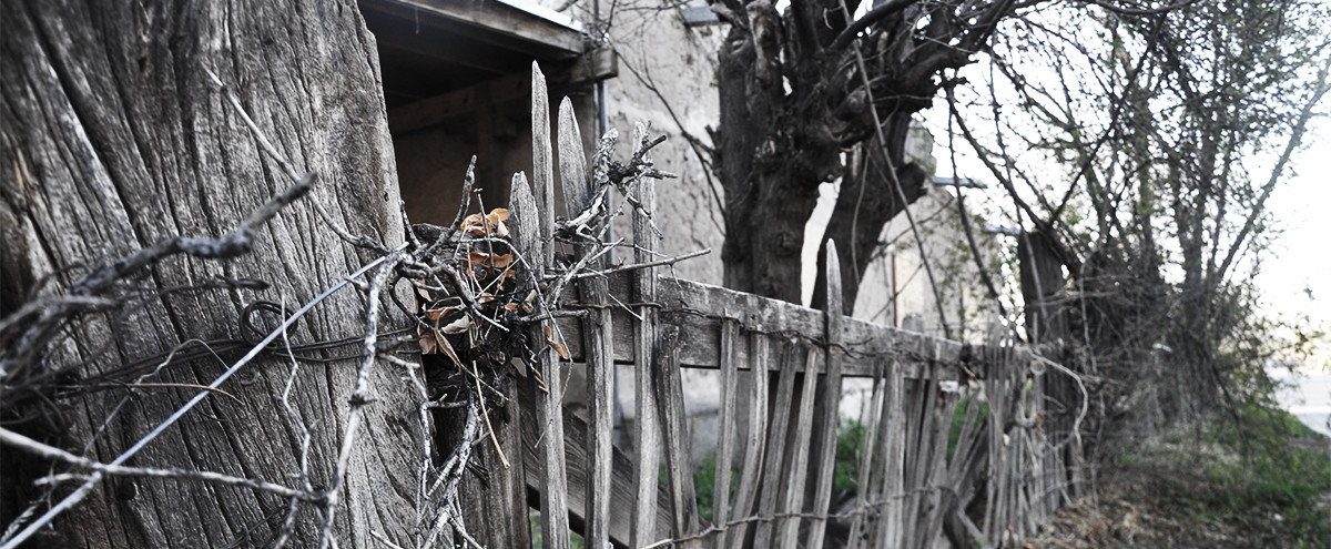 Broken Fence WEB