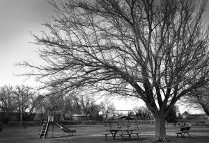An empty park in Old Mesilla, N.M