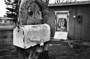 Tree Mailbox