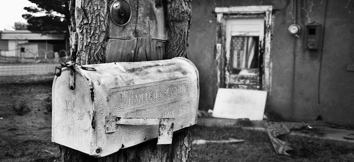 Tree Mailbox