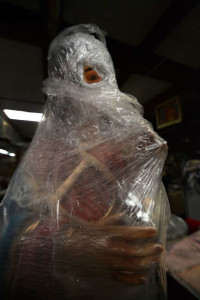 A saint waits for a new home while trapped in cling wrap.