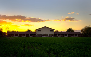The sun sets over the field in the AG dept at NMSU in Las Cruces, NM
