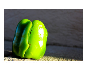 Bell pepper in the morning Photography by Hazel India Butler