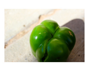 Bell pepper in the afternoon Photography by Hazel India Butler