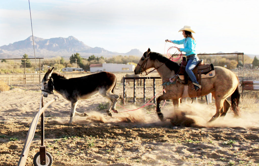 NMSU Rodeo: Kelton Little