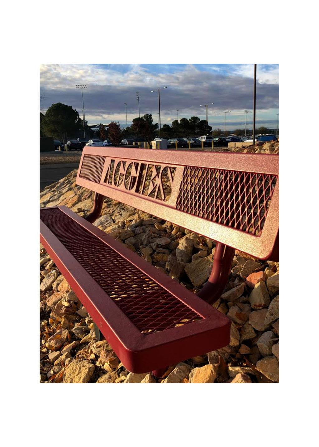 Red_aggies_seat